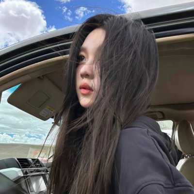 鲨与鲸